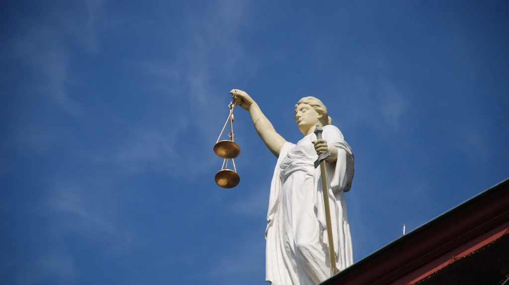 Afbeelding voor Mensenrechten beschermen en hulp bieden