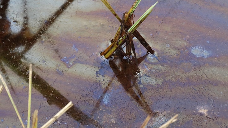 Milieuvervuiling pakken we hard aan