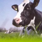 Afbeelding protest red de zorg