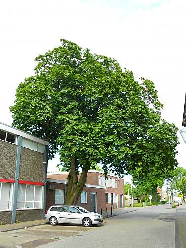 Afbeelding protest red de zorg