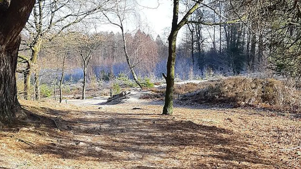 Afbeelding protest red de zorg