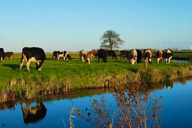 Afbeelding protest red de zorg