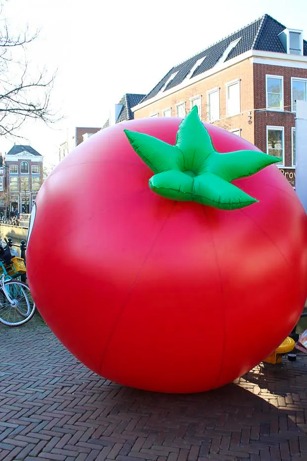 Afbeelding protest red de zorg