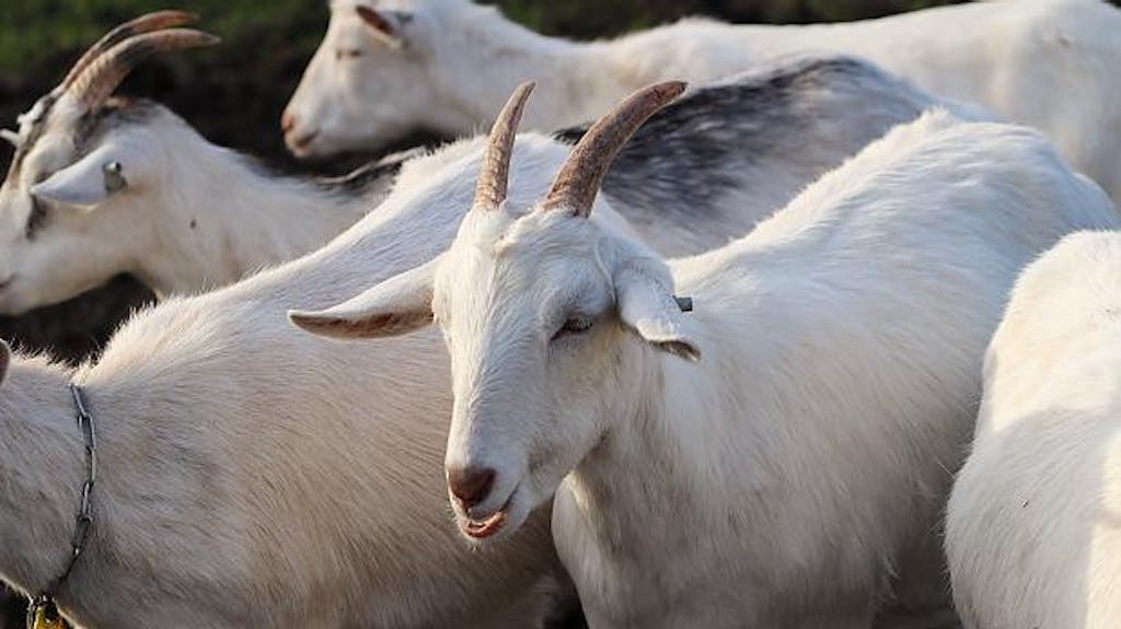 Afbeelding protest red de zorg