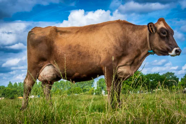 Afbeelding protest red de zorg