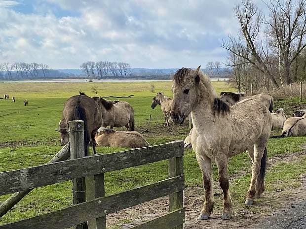 Afbeelding protest red de zorg