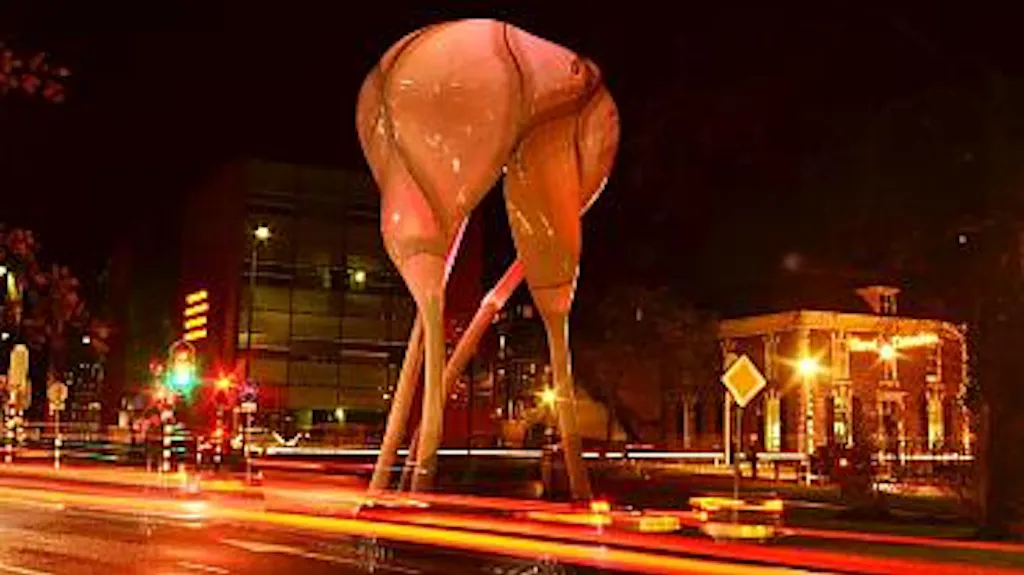 Afbeelding protest red de zorg