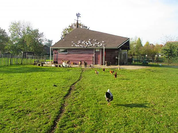 Afbeelding protest red de zorg