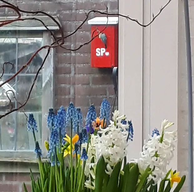 Afbeelding protest red de zorg