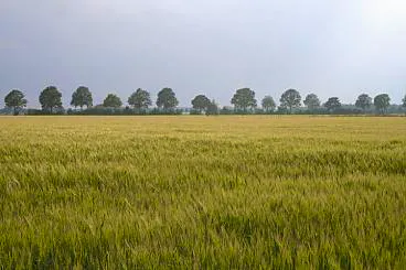 Afbeelding protest red de zorg