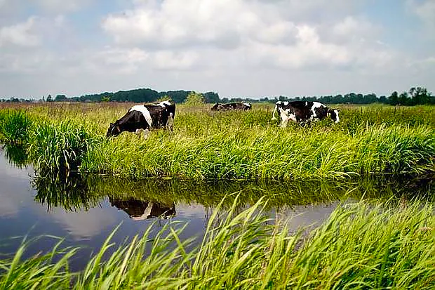 Afbeelding protest red de zorg