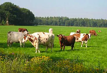 Afbeelding protest red de zorg