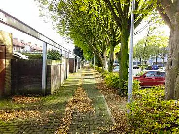Afbeelding protest red de zorg