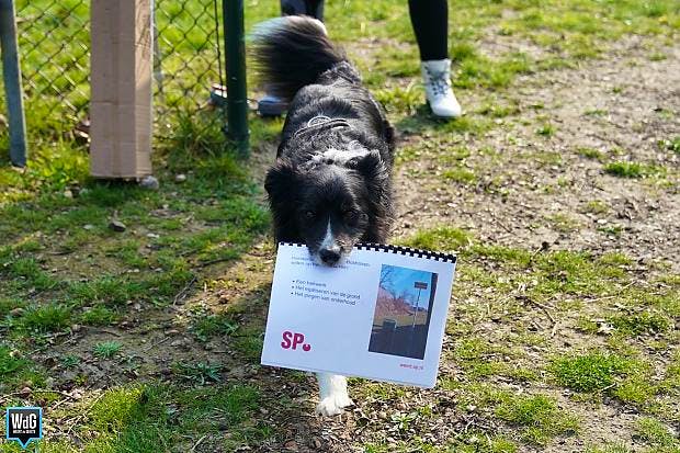 Afbeelding protest red de zorg