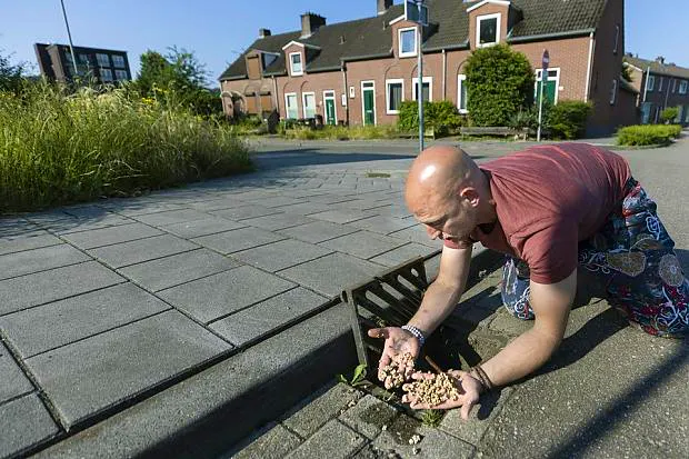 Maat vol voor huurders Landgraafse wijk: ‘Als het regent, loopt water over de vensterbank naar binnen’