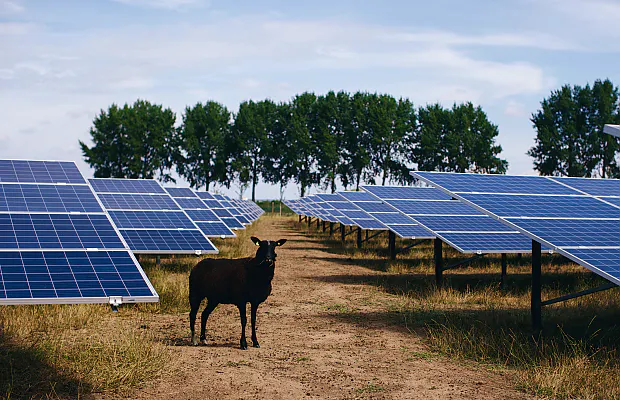 Afbeelding protest red de zorg
