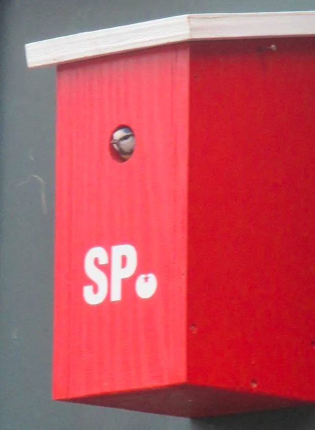 Afbeelding protest red de zorg