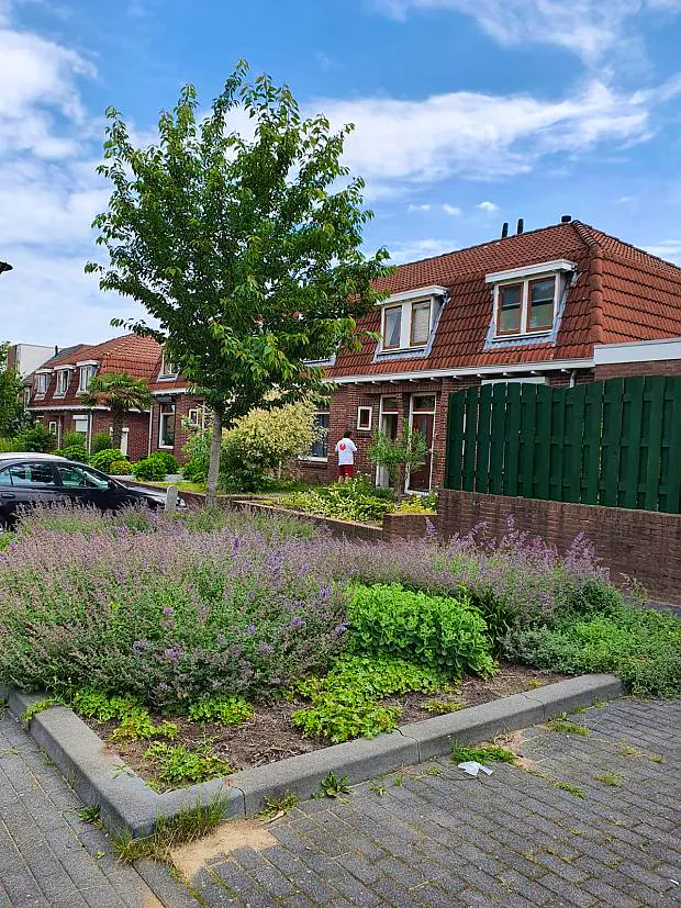 Afbeelding protest red de zorg