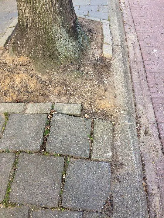 Afbeelding protest red de zorg