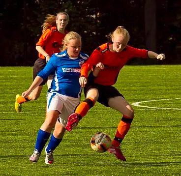 Afbeelding protest red de zorg