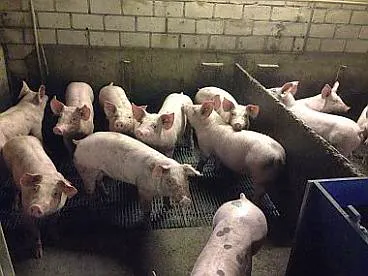 Afbeelding protest red de zorg