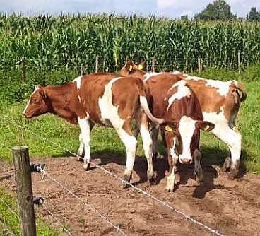 Afbeelding protest red de zorg