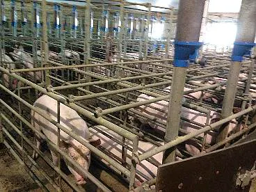 Afbeelding protest red de zorg