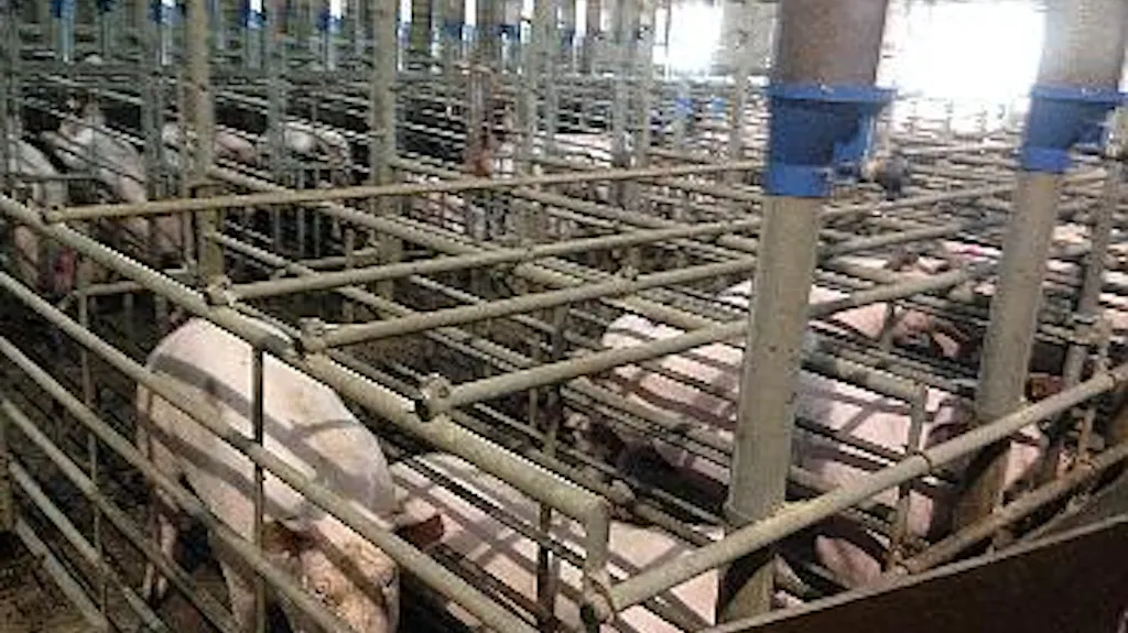 Afbeelding protest red de zorg