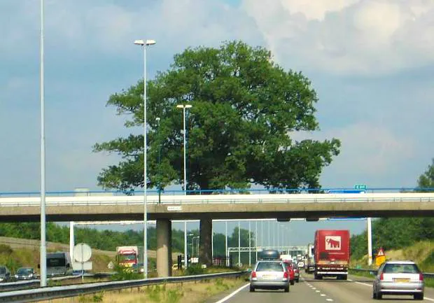 Afbeelding protest red de zorg