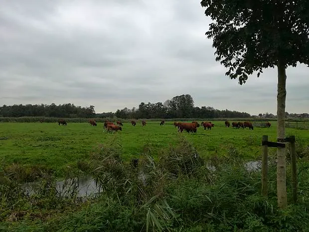 Afbeelding protest red de zorg