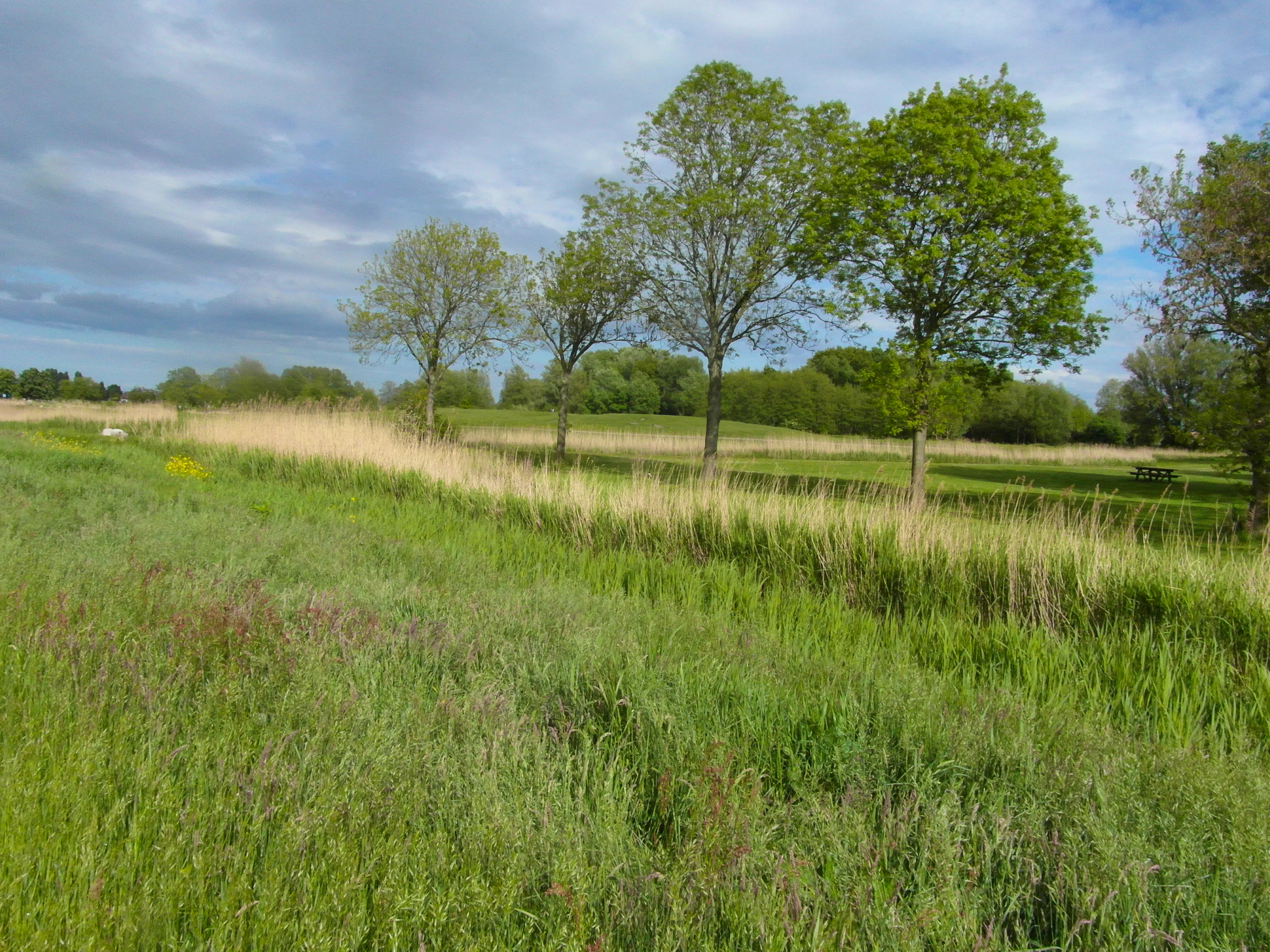 SP dient motie in: bescherming Natura 2000-gebied Het Twiske moet voorop staan
