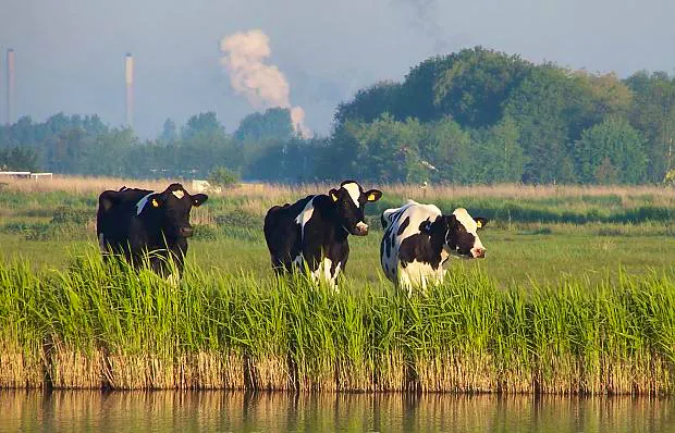 Afbeelding protest red de zorg