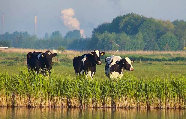 Afbeelding protest red de zorg