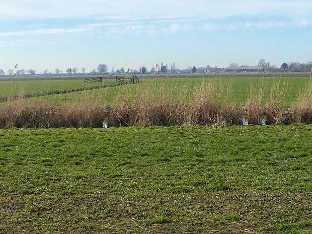 Afbeelding protest red de zorg