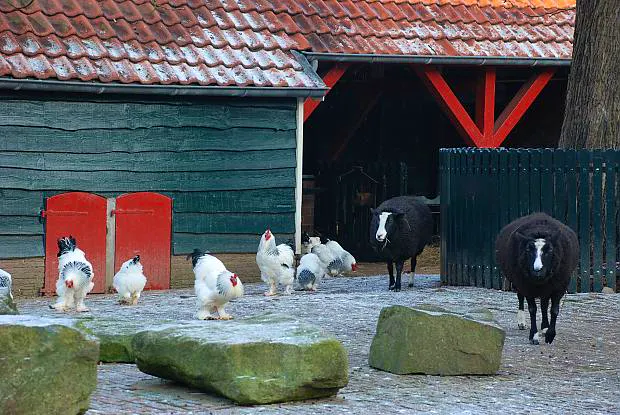 Afbeelding protest red de zorg
