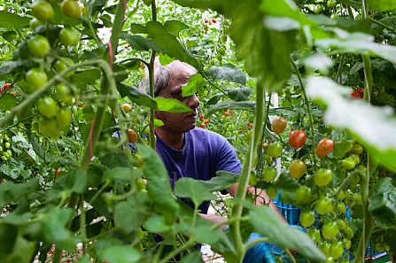 Red kwekerij Osdorp!