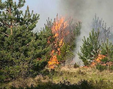 Afbeelding protest red de zorg