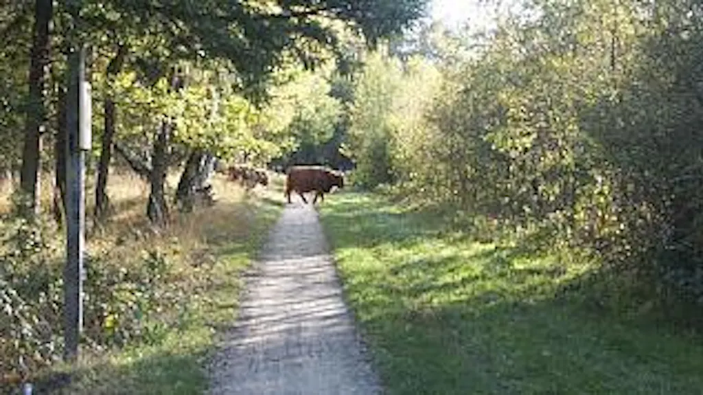 Afbeelding protest red de zorg