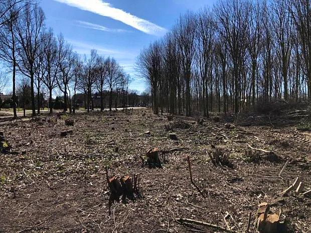 Afbeelding protest red de zorg