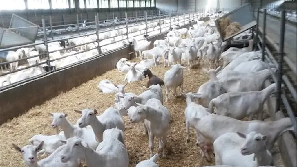 Afbeelding protest red de zorg