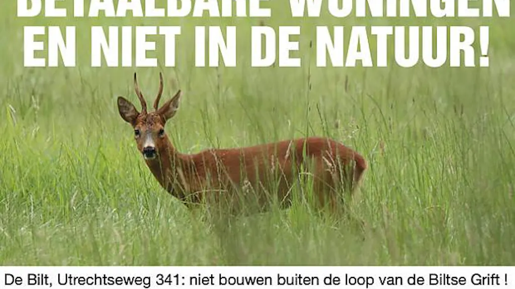 Afbeelding protest red de zorg