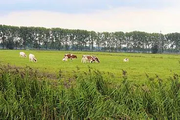 Afbeelding protest red de zorg