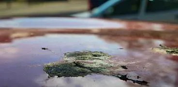 Afbeelding protest red de zorg