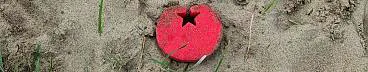 Afbeelding protest red de zorg