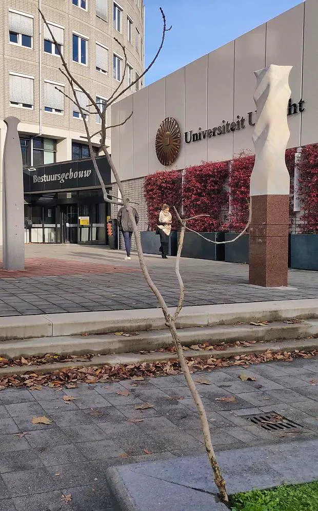 Afbeelding protest red de zorg