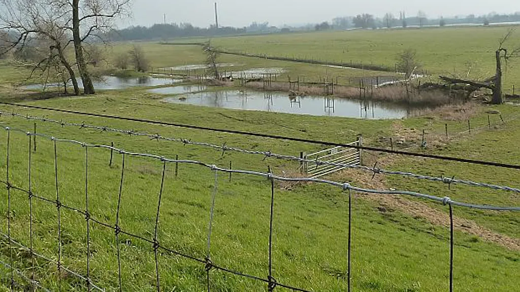 Afbeelding protest red de zorg
