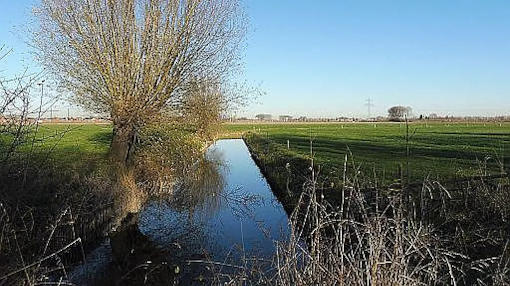 Afbeelding protest red de zorg