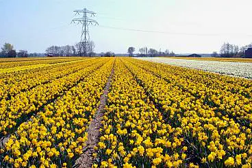 Afbeelding protest red de zorg