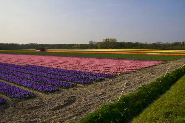 Afbeelding protest red de zorg