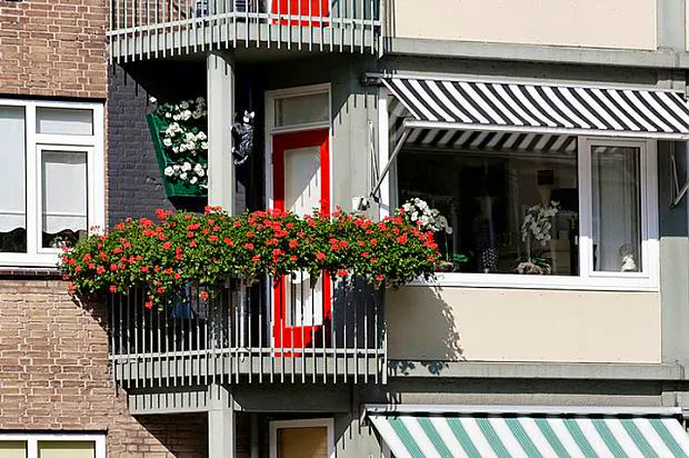 Afbeelding protest red de zorg